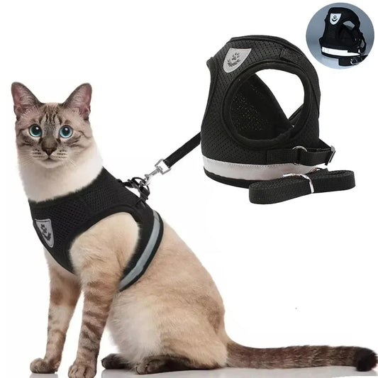 Reflective Cat Harness and Leash for Every Adventure