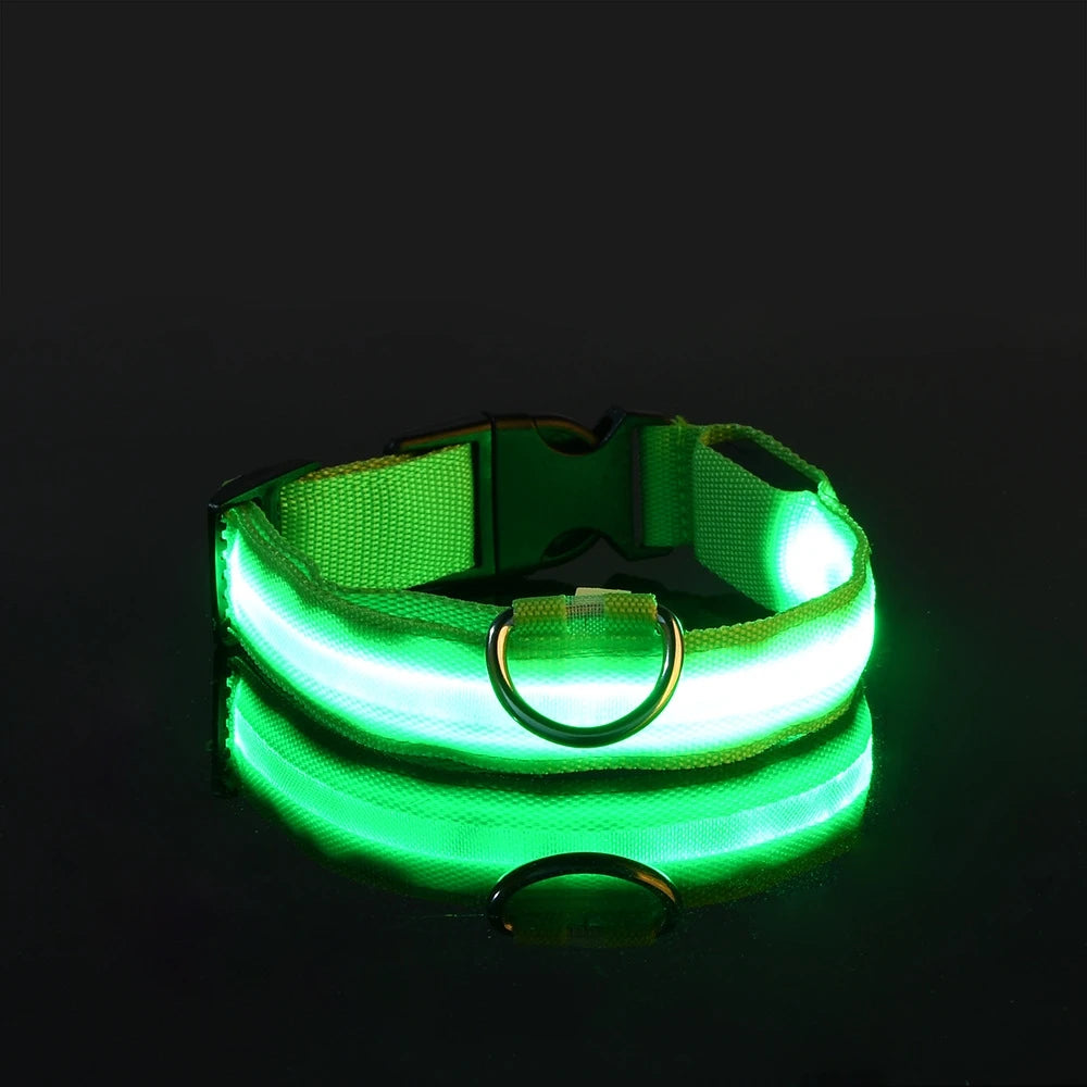 RoyalPet Led Safely Collar