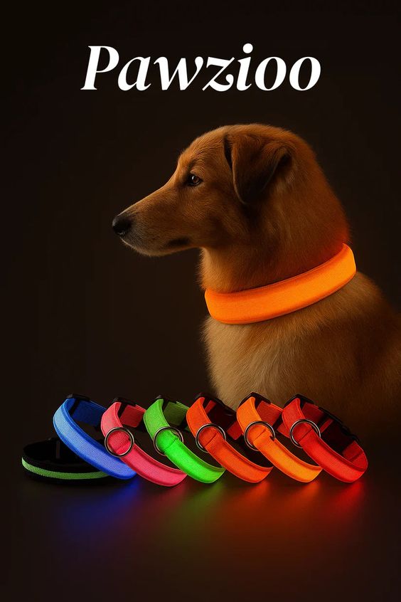 RoyalPet Led Safely Collar