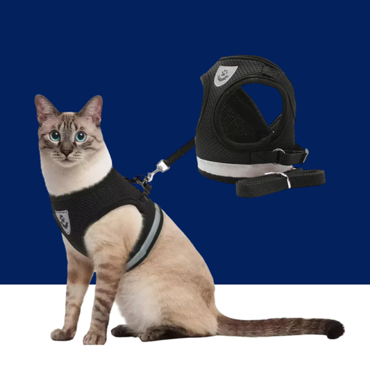 Reflective Cat Harness and Leash for Every Adventure