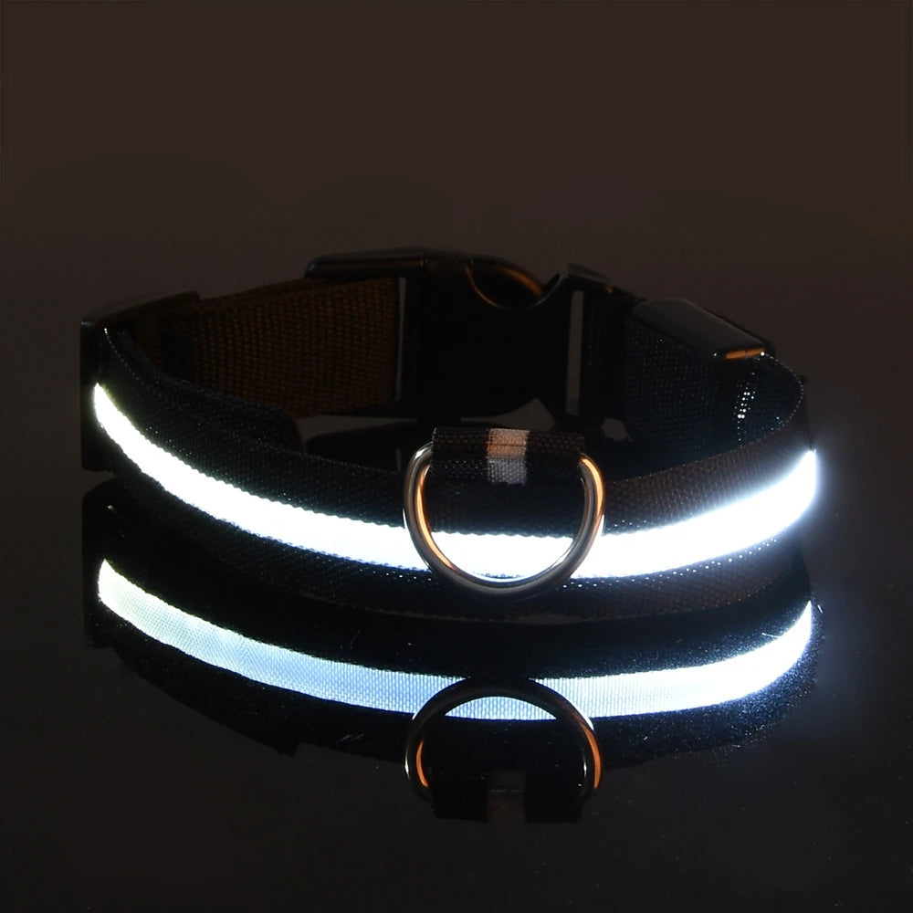 RoyalPet Led Safely Collar