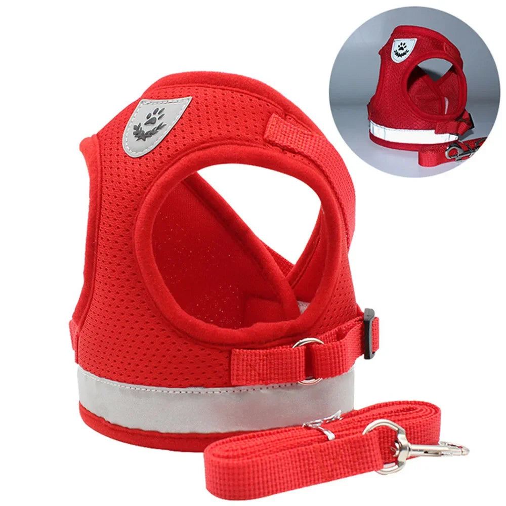 Reflective Cat Harness and Leash for Every Adventure