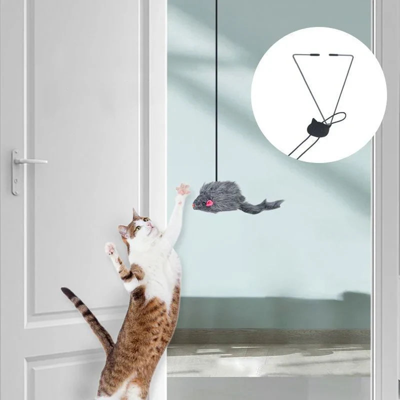 FeliSwing – Hanging Door Cat Teaser Toy