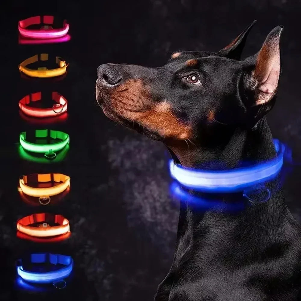 RoyalPet Led Safely Collar