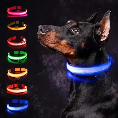 RoyalPet Led Safely Collar