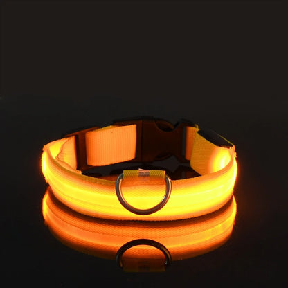 RoyalPet Led Safely Collar