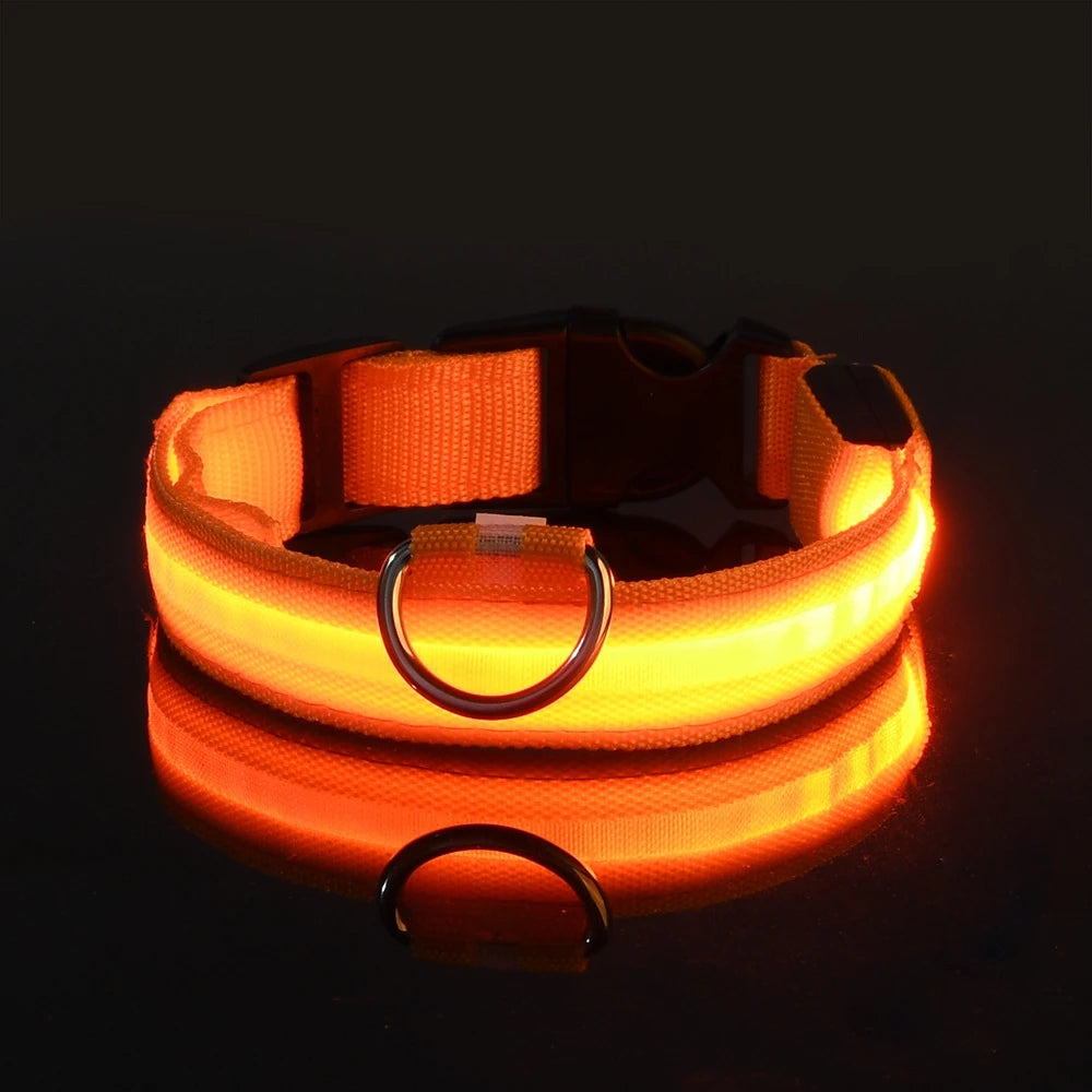 RoyalPet Led Safely Collar