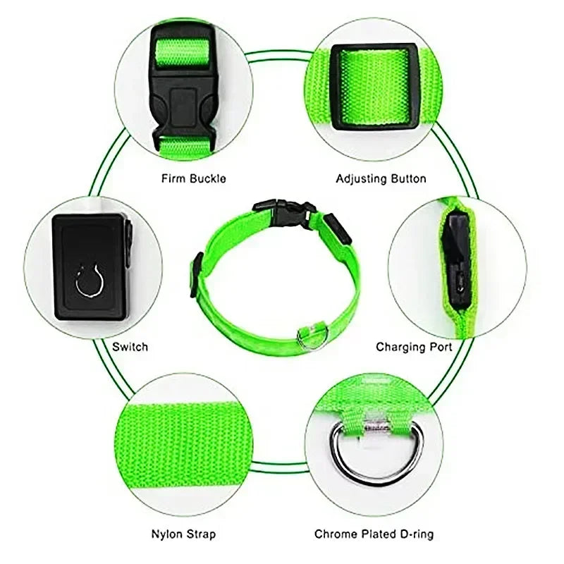 RoyalPet Led Safely Collar