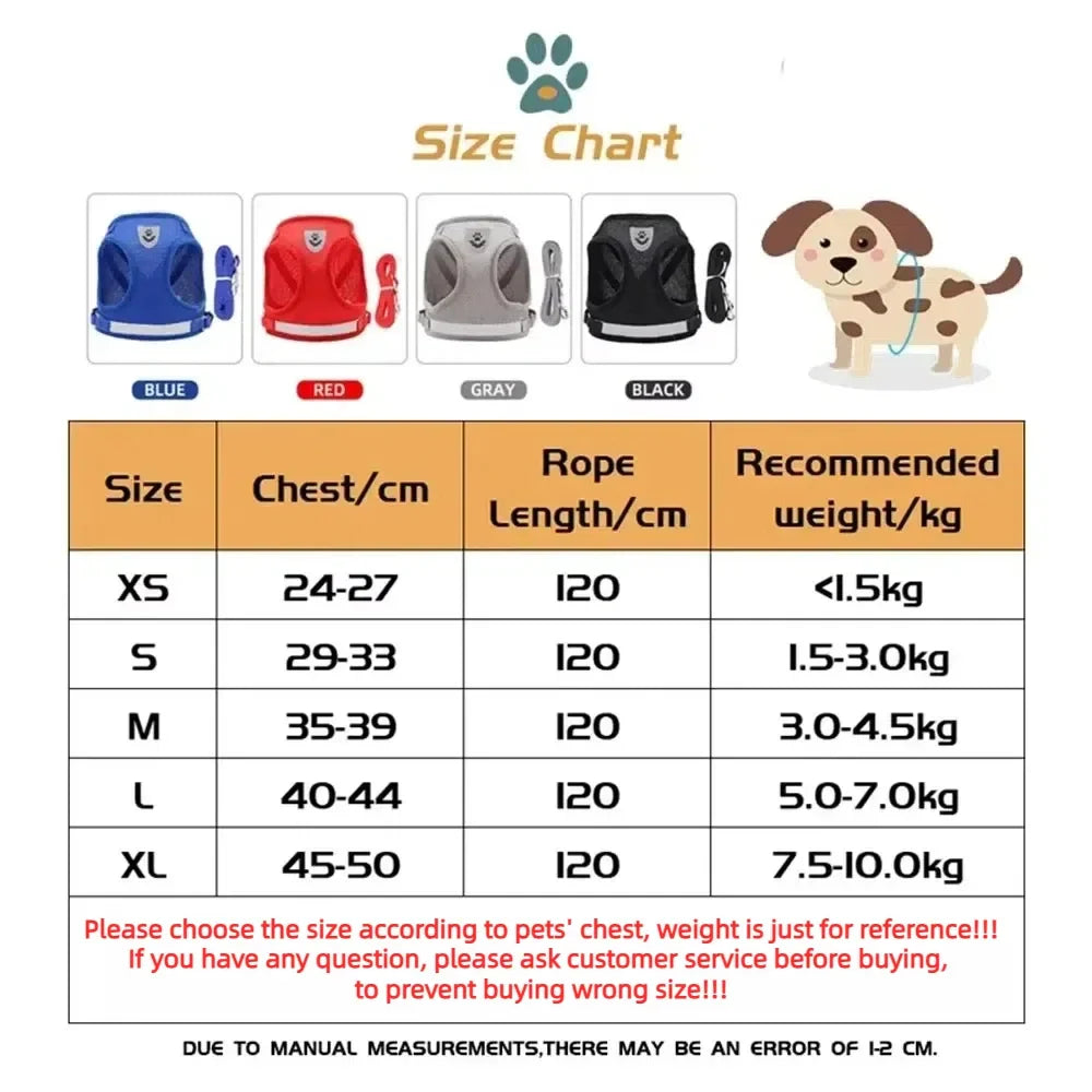 Reflective Cat Harness and Leash for Every Adventure