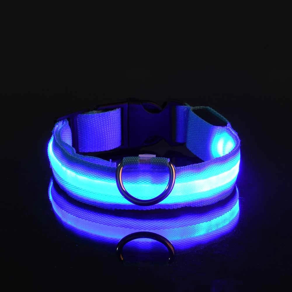 RoyalPet Led Safely Collar