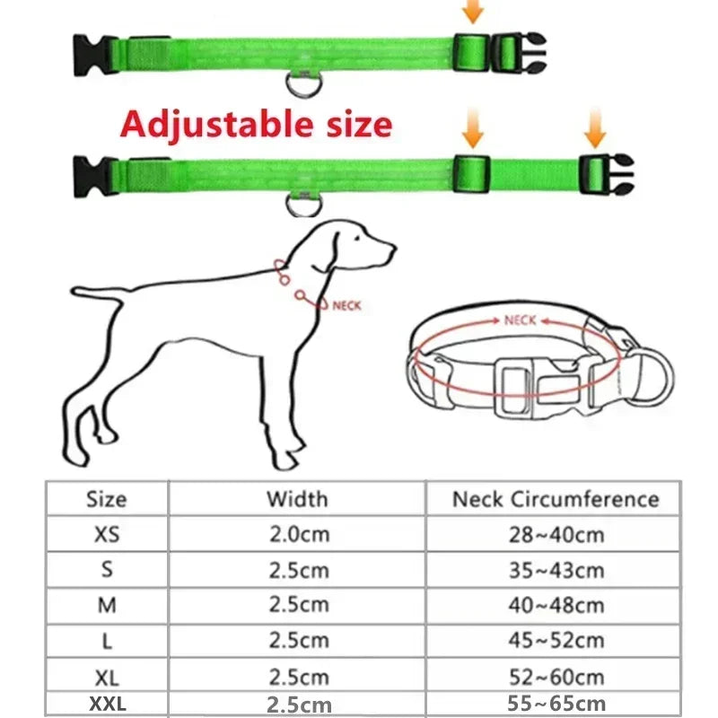 RoyalPet Led Safely Collar