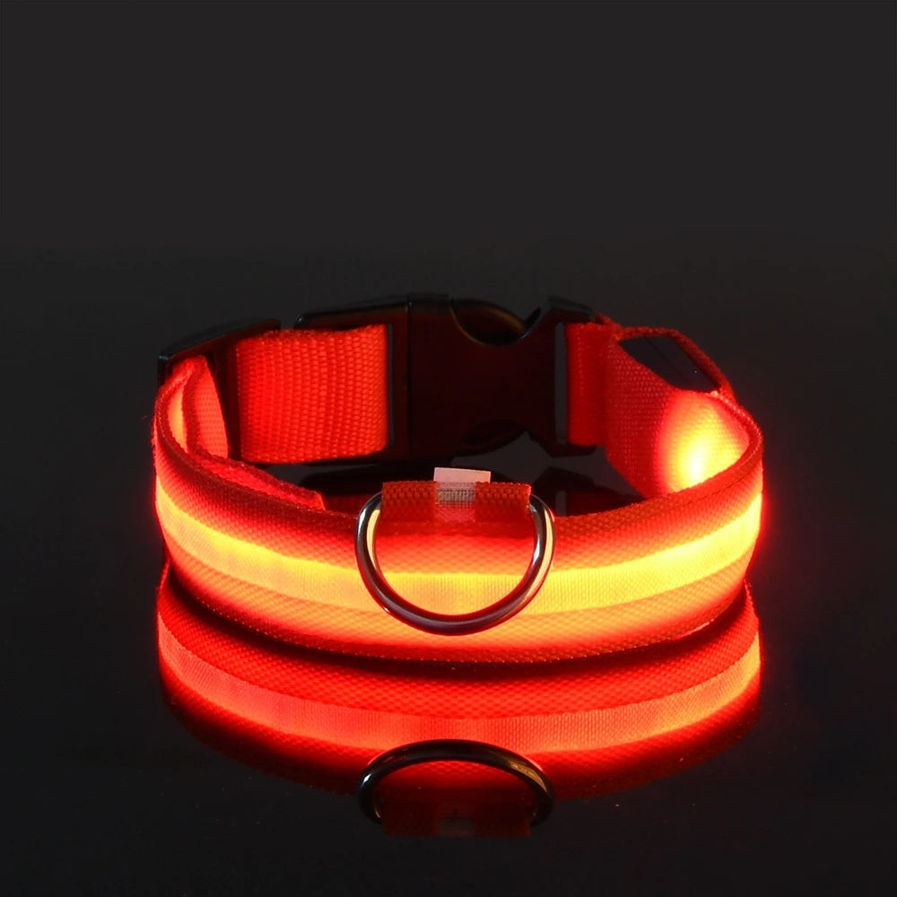 RoyalPet Led Safely Collar