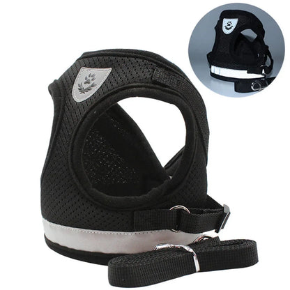 Reflective Cat Harness and Leash for Every Adventure